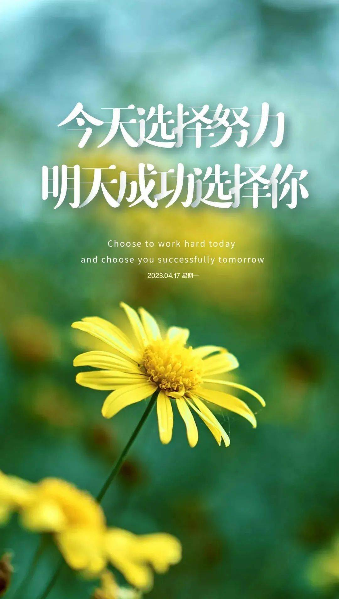 丰满型是什么意思_星期一的丰满漫画_丰满的定义是什么