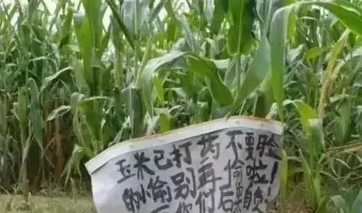 上传助记词 非法_非法上传助词记录违法吗_非法上传助词记录怎么办