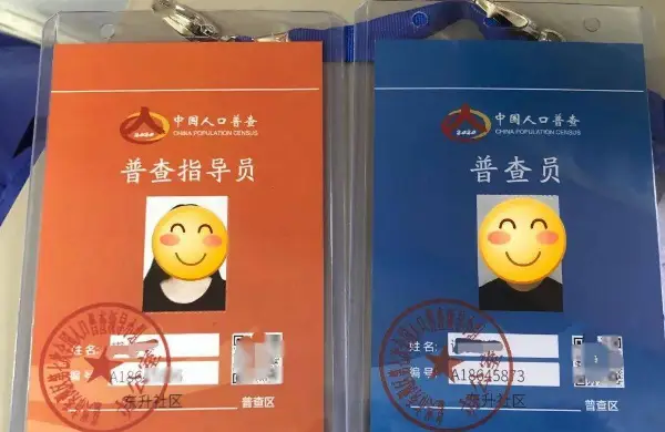 人口普查各次数据_人口普查频次_第五次人口普查