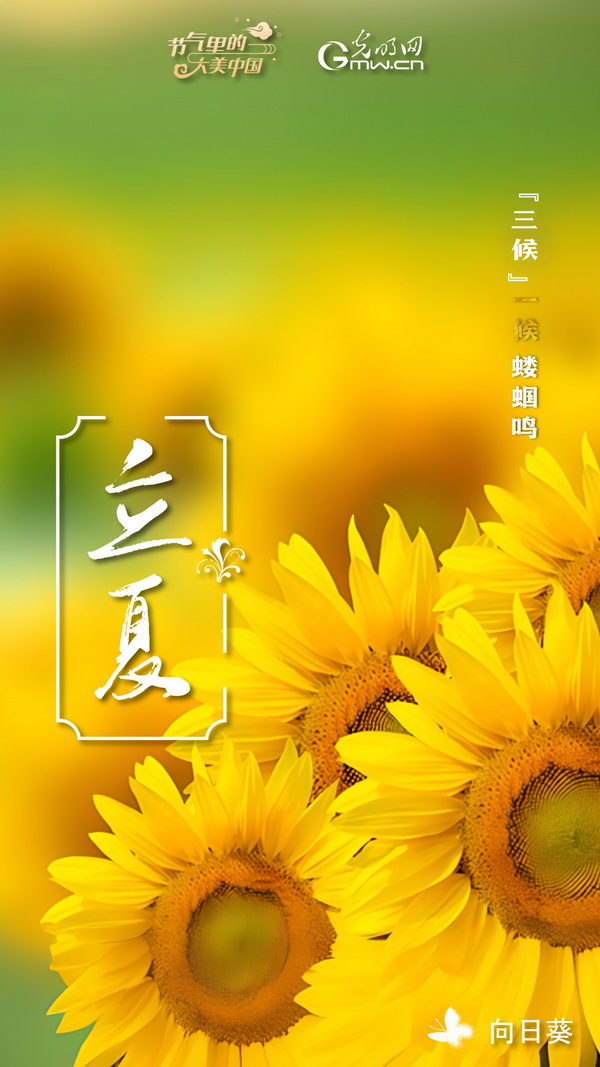 立夏一候_立夏一候_立夏一候