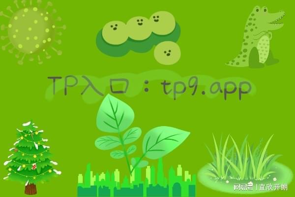 token没有找到_为何考古家发现古墓没盗墓者强_tokenpocket最新版本发现那里什么都没有