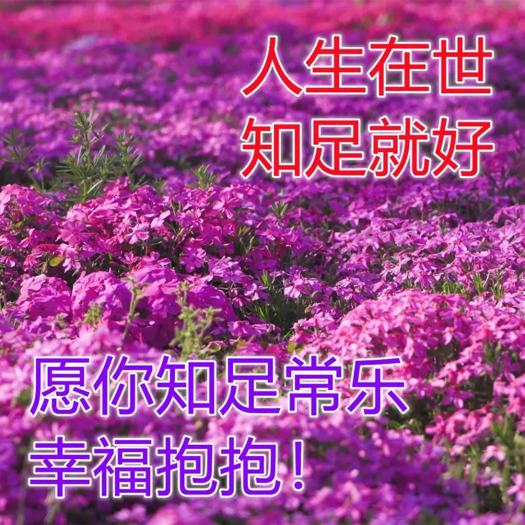 医师节短语祝福_生日词语祝福_2014祝福语