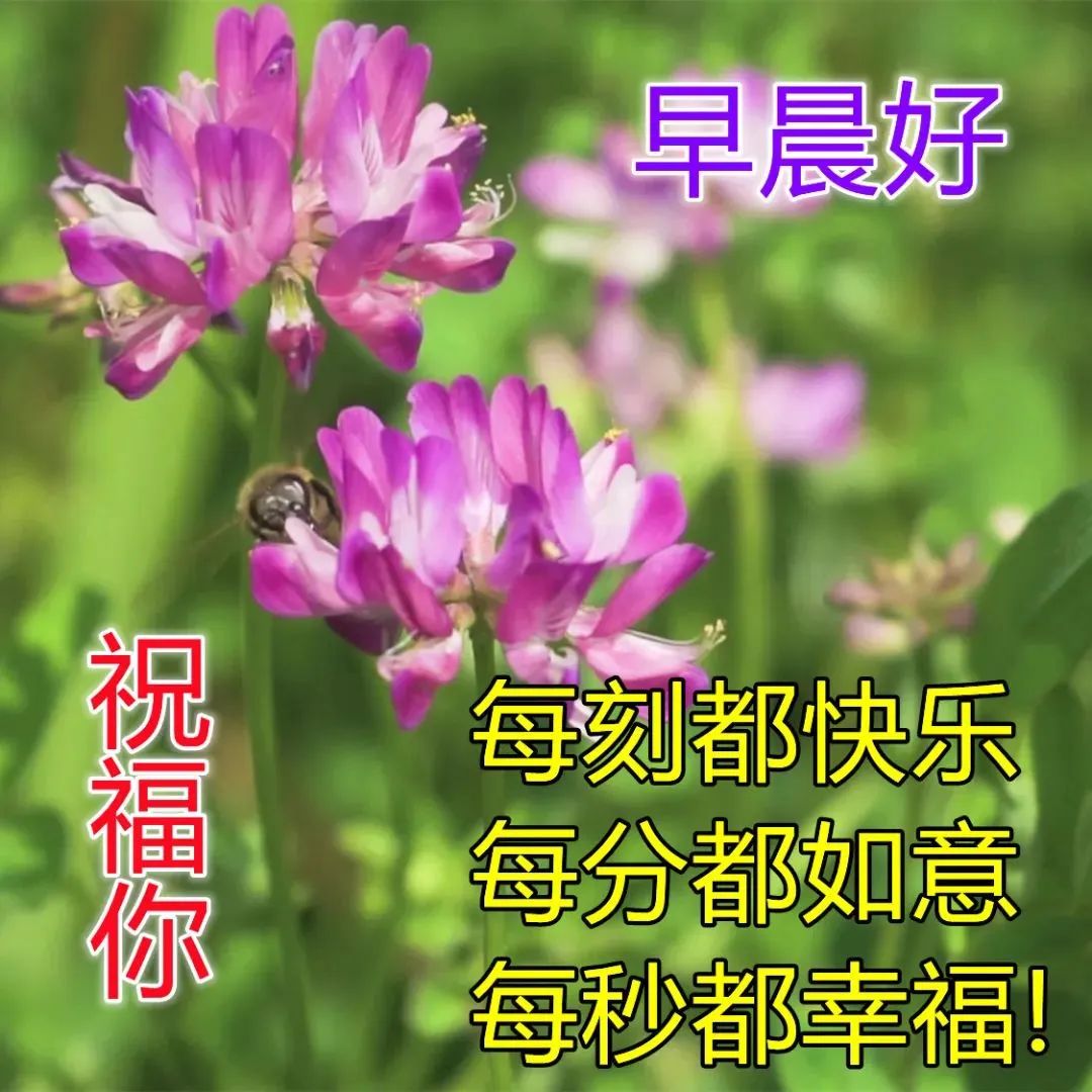 医师节短语祝福_2014祝福语_生日词语祝福