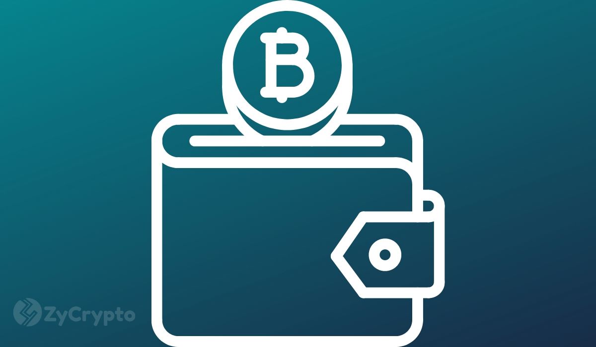 钱包下载安装_钱包下载官方最新版本安卓_tokenpocket.pro tp钱包下载
