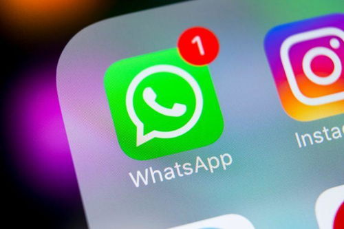 whatsapp 不显示数字,揭秘无数字通讯新体验
