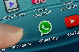 whatsapp android 动态,功能更新与用户体验优化