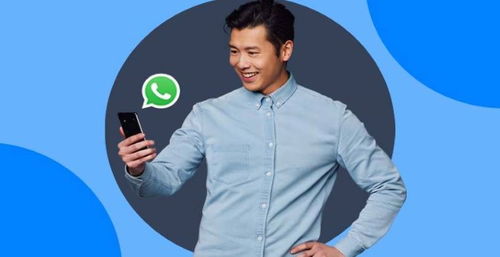 whatsapp 2022,年度回顾与未来展望