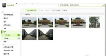 安卓系统相片排列,照片排列背后的智慧与美学